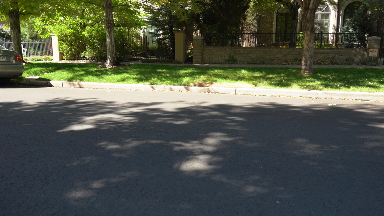 Tree-shaded residential street in Cherry Creek North, Denver