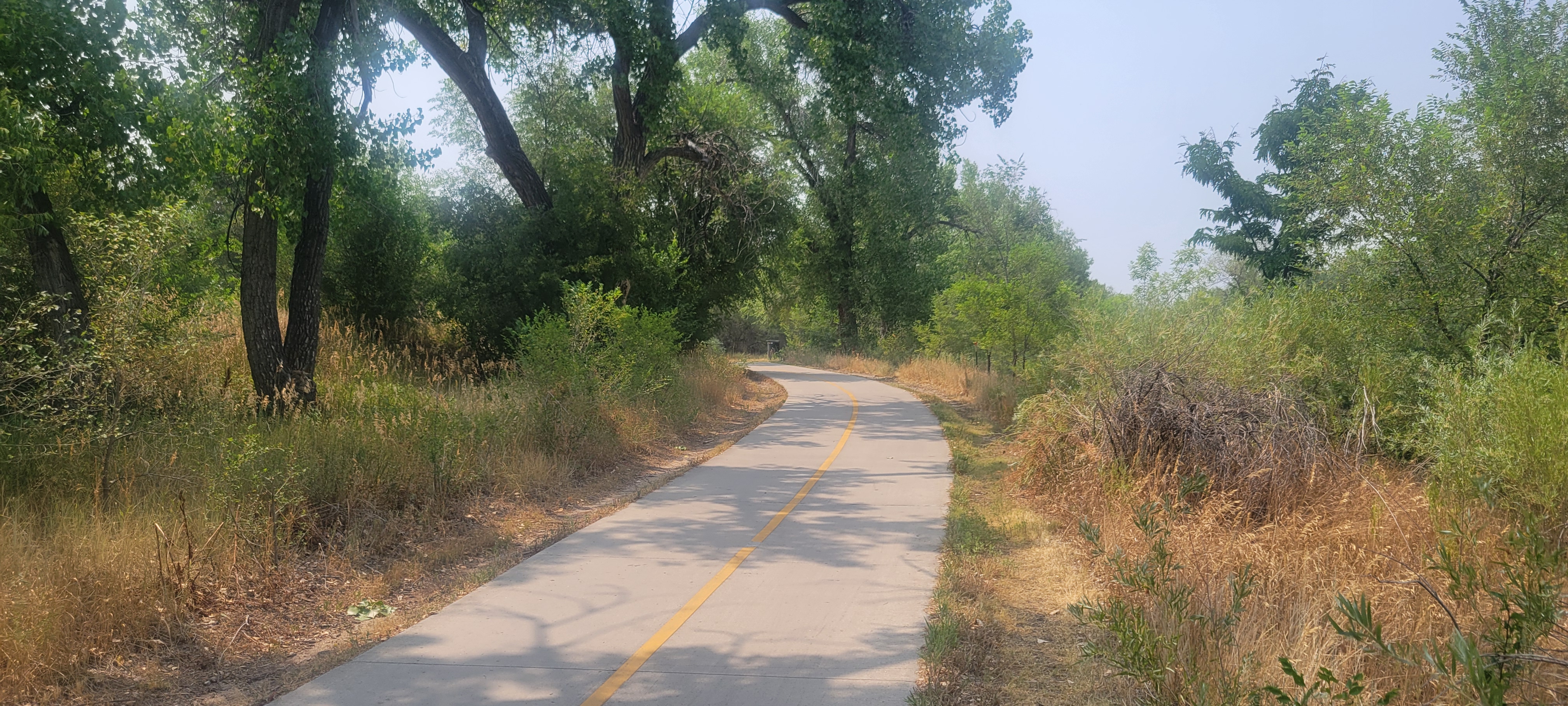 Cherry Creek Trail winding through a tree canopy, Denver