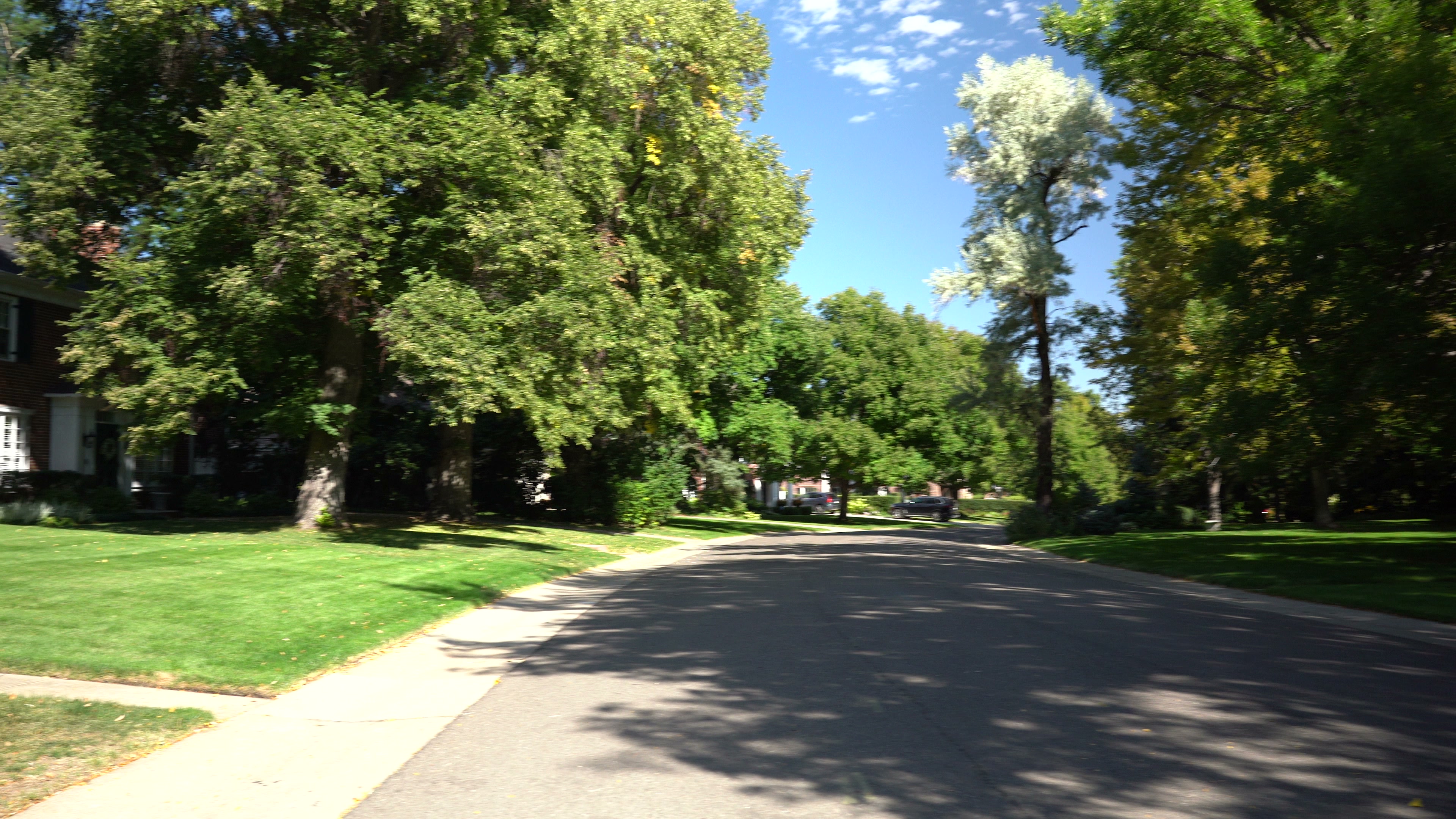 Mature tree-lined residential street in Denver's Hilltop neighborhood with lush green canopy and manicured lawns in early fall
